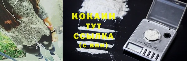 индика Заволжск