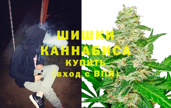 крисы Абдулино