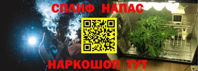 спайс Тара