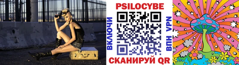 купить закладку  kraken вход  Псилоцибиновые грибы Psilocybe  Приморско-Ахтарск 