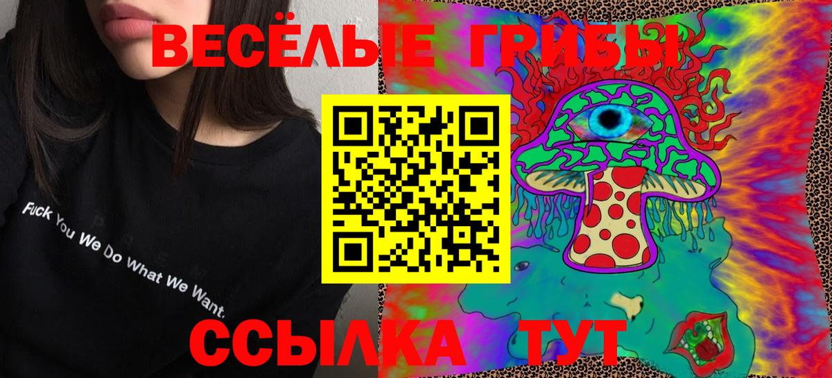 Галлюциногенные грибы прущие грибы  цена   Приморско-Ахтарск  Вход с VPN 